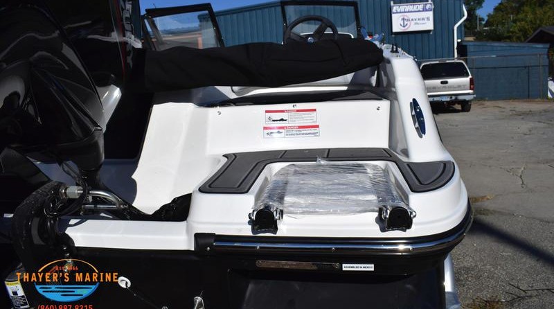 Bayliner Element M17