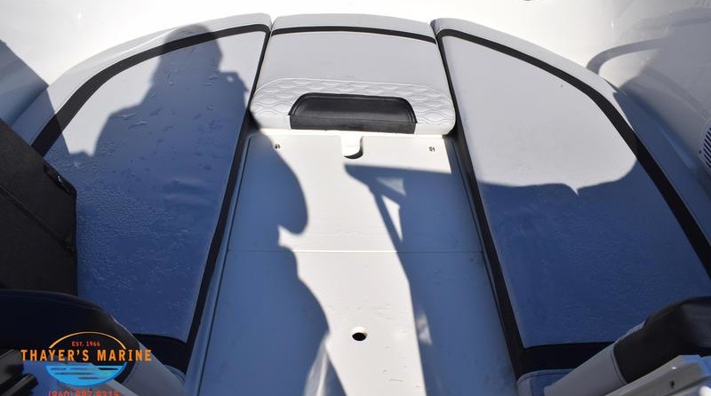 Bayliner Element M17