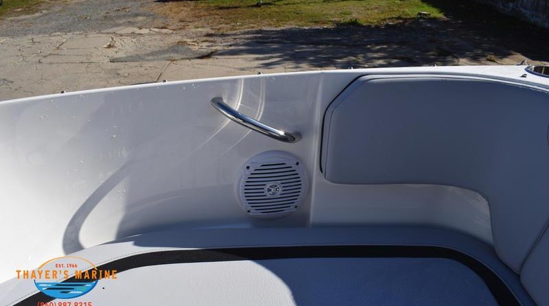 Bayliner Element M17