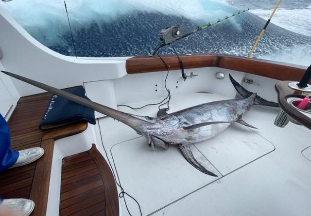 Hatteras 77 Convertible