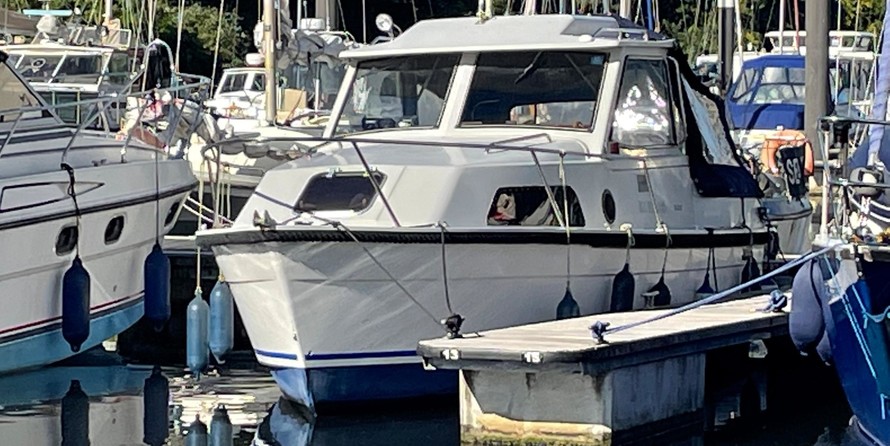Hardy Seawings 234