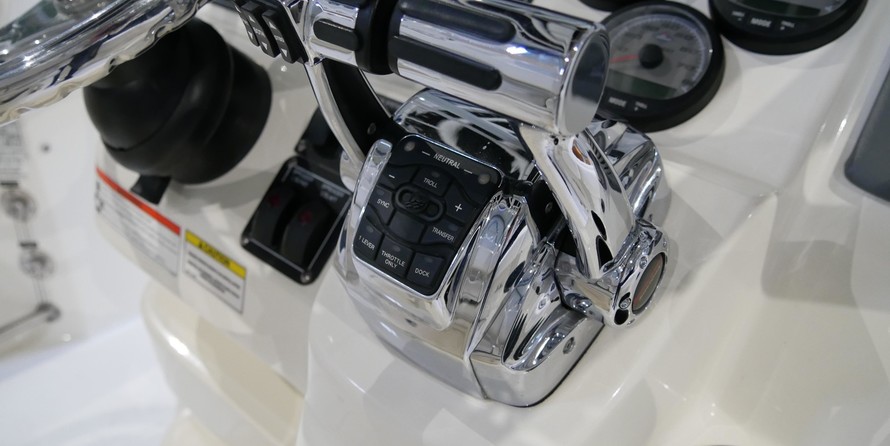 Boston Whaler 250 Outrage