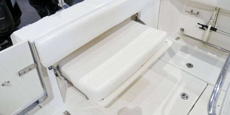 Boston Whaler 250 Outrage