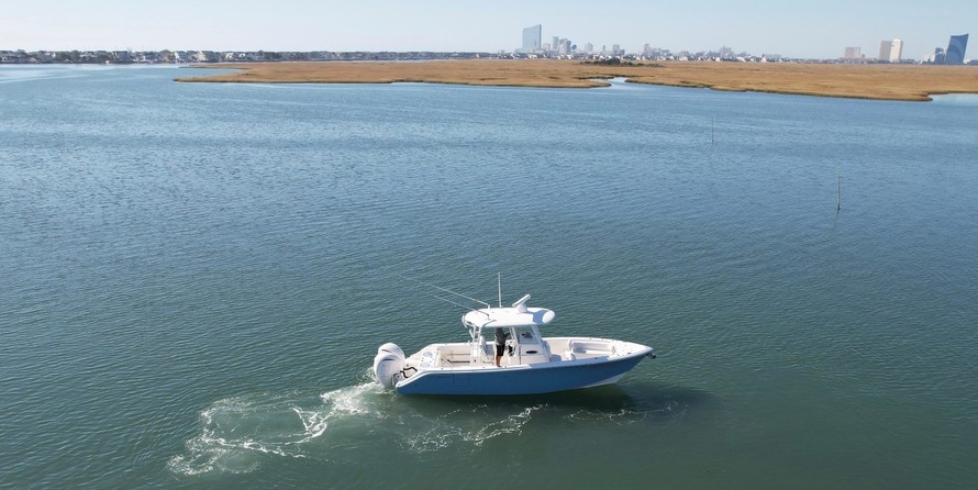 Cobia 217 center console