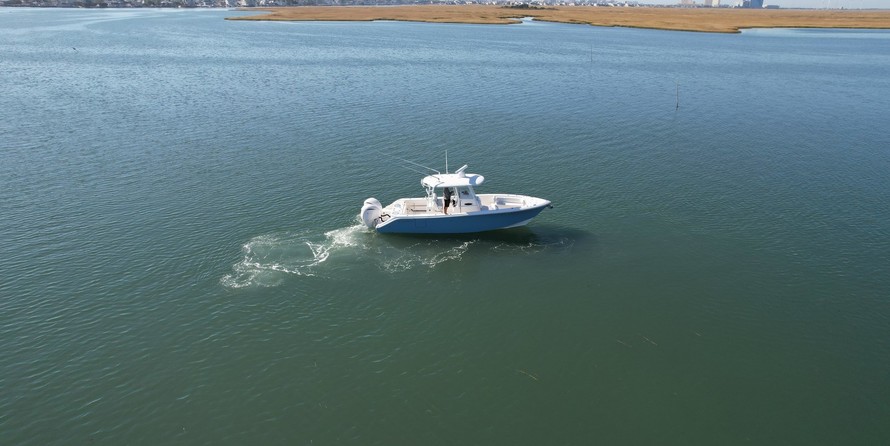 Cobia 217 center console