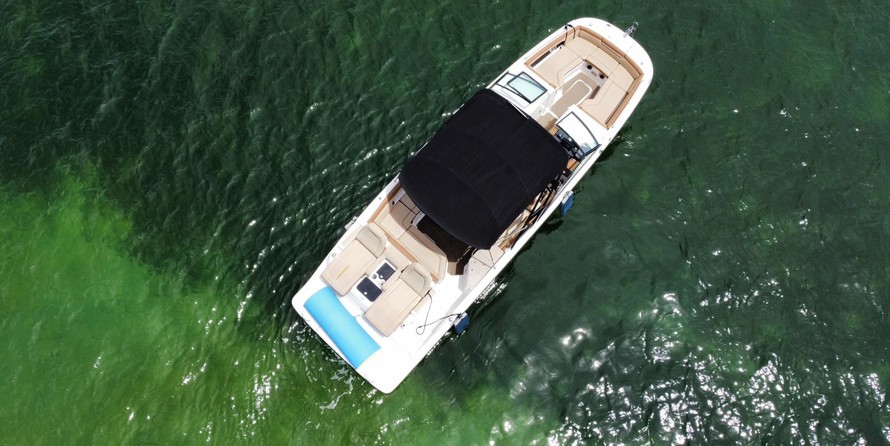 Sea Ray 290 SUNDECK