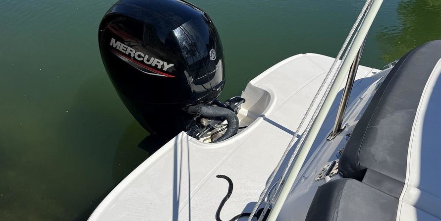 Bayliner VR6 BOWRIDER