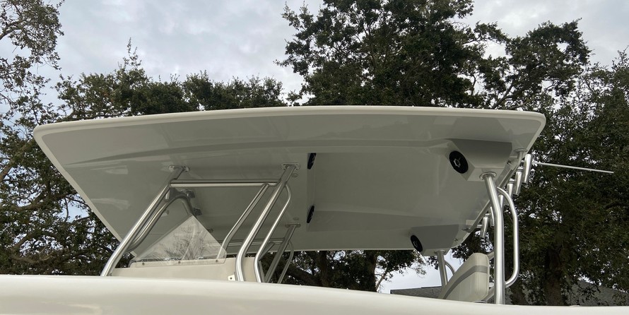 Renaissance 31