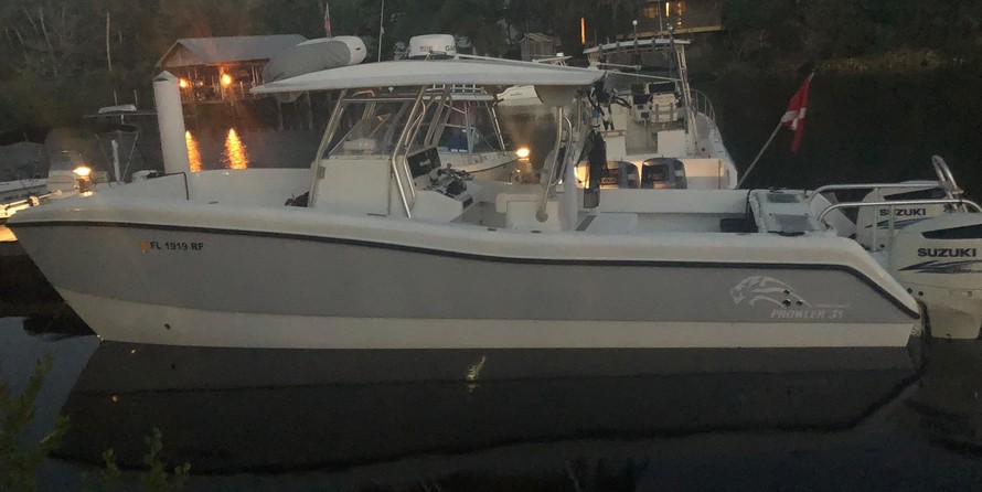 Renaissance 31