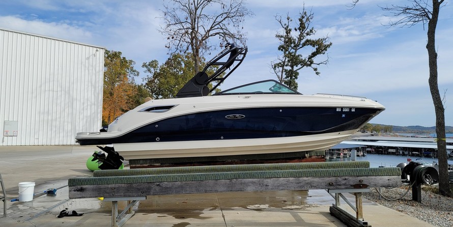 Sea Ray SDX 250