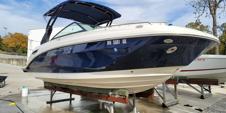 Sea Ray SDX 250