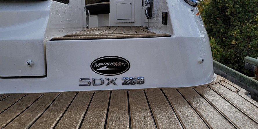 Sea Ray SDX 250