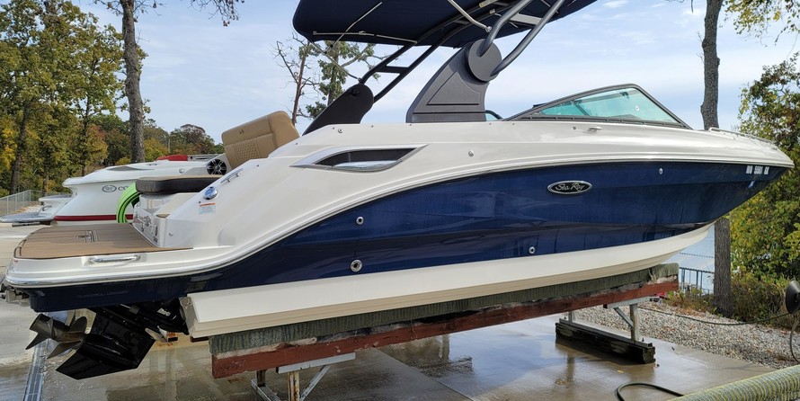 Sea Ray SDX 250