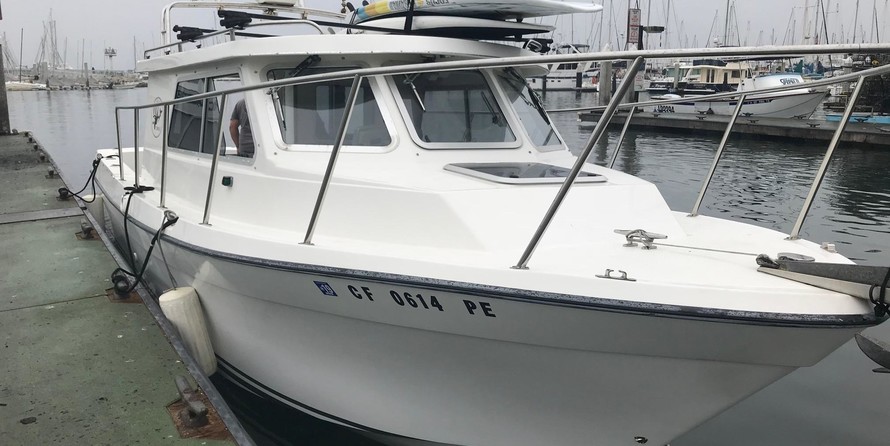 Skagit orca 27