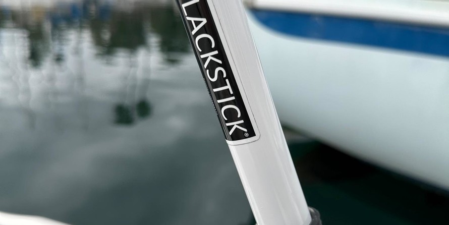 Skagit orca 27