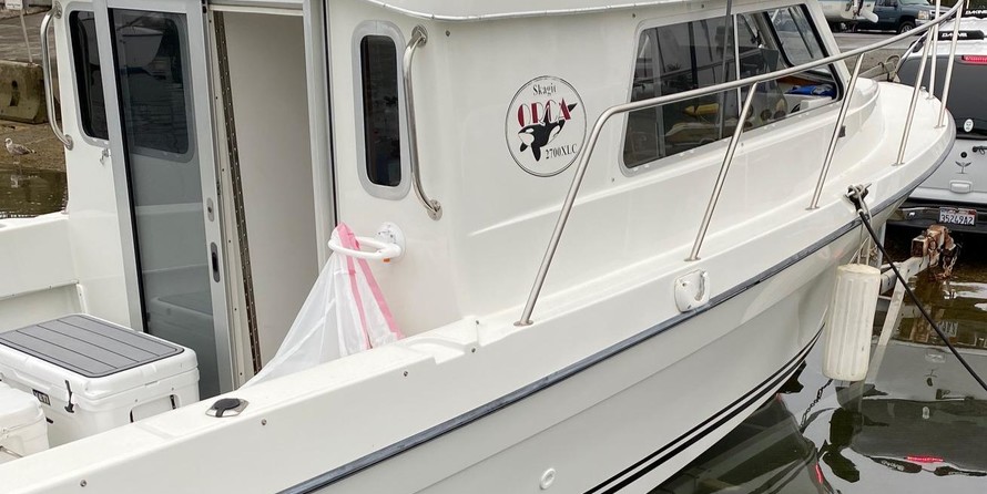 Skagit orca 27