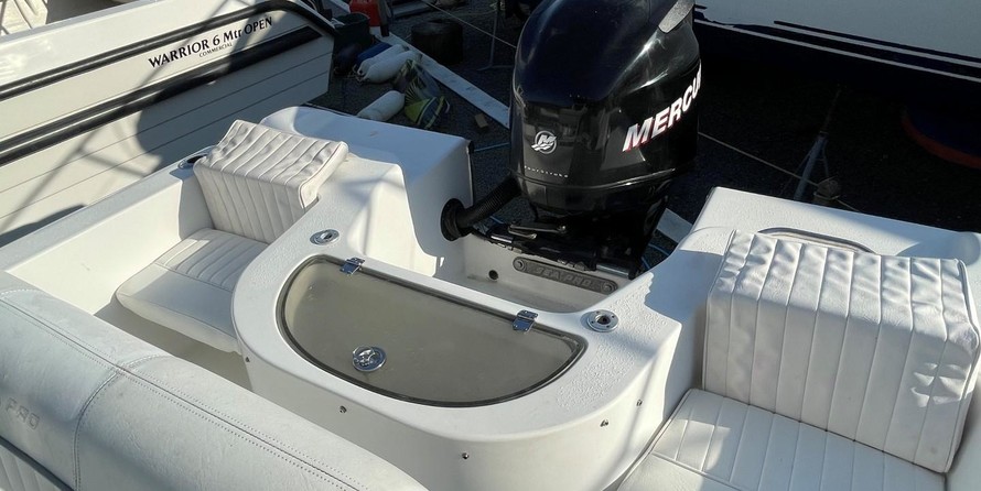 Angler Pro Boats 2900 center console