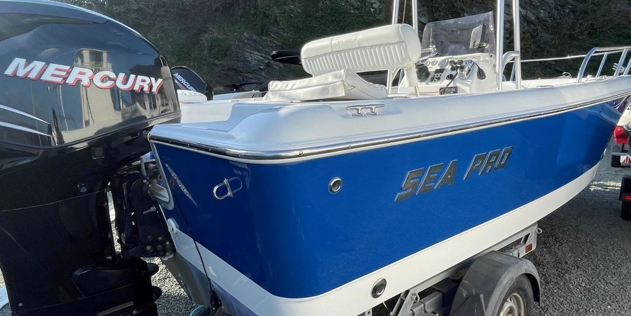 Angler Pro Boats 2900 center console