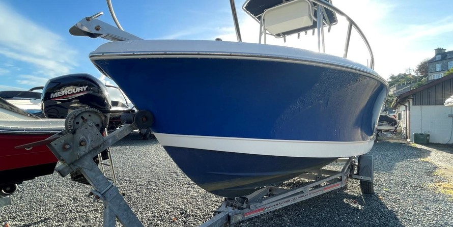 Angler Pro Boats 2900 center console