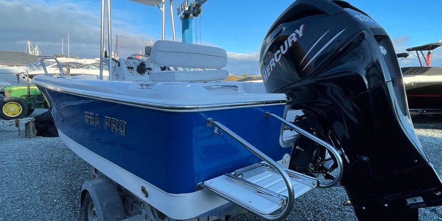 Angler Pro Boats 2900 center console