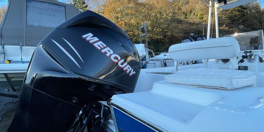 Angler Pro Boats 2900 center console