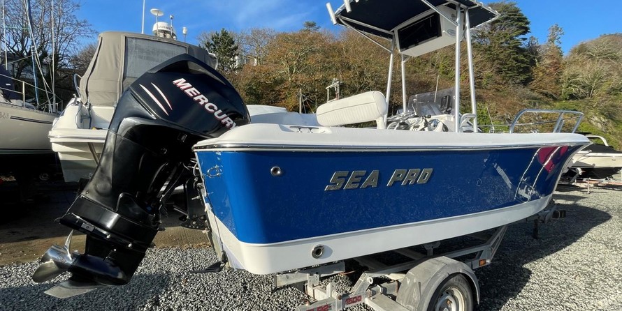 Angler Pro Boats 2900 center console