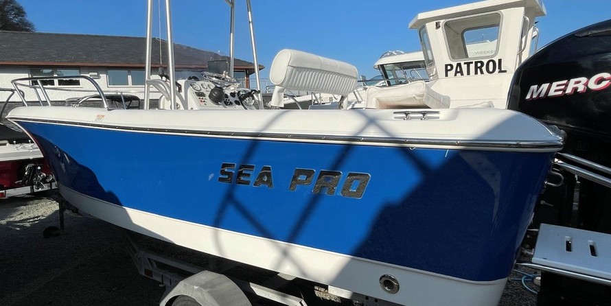 Angler Pro Boats 2900 center console