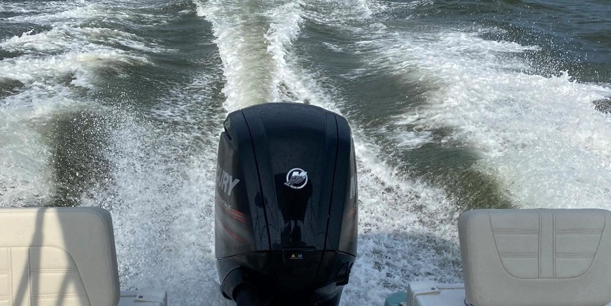 Boston Whaler 170 Montauk