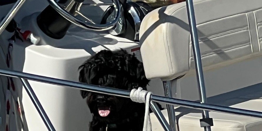 Boston Whaler 170 Montauk