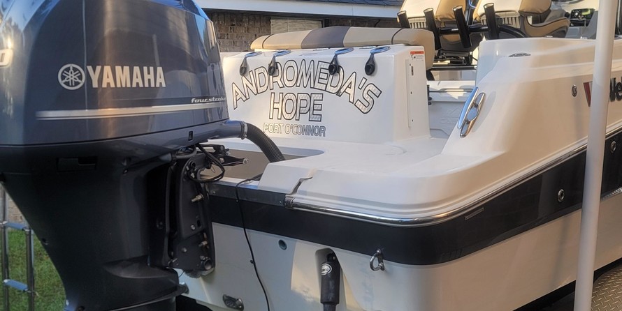 Wellcraft 242 Fisherman