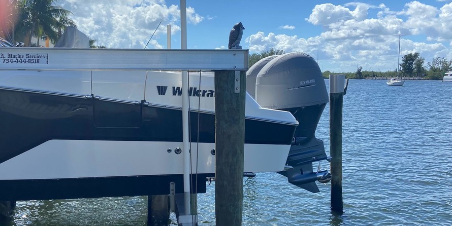 Wellcraft 262 Fisherman