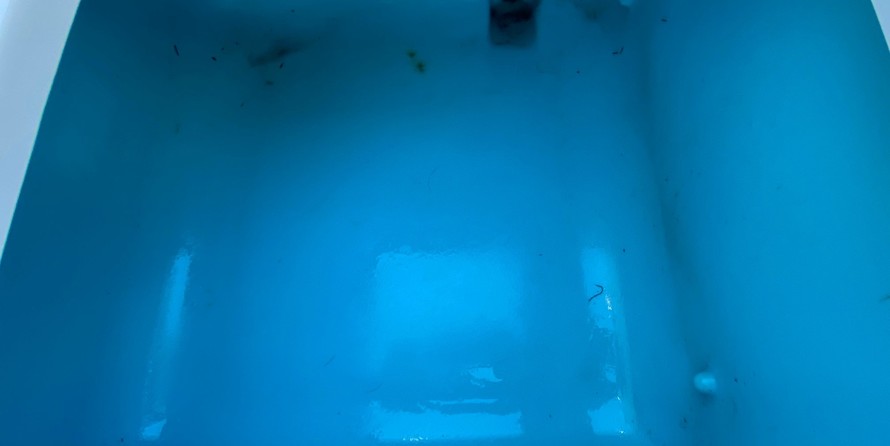 Yamaha 210 FSH Sport