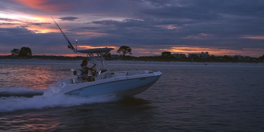 Yamaha 210 FSH Sport