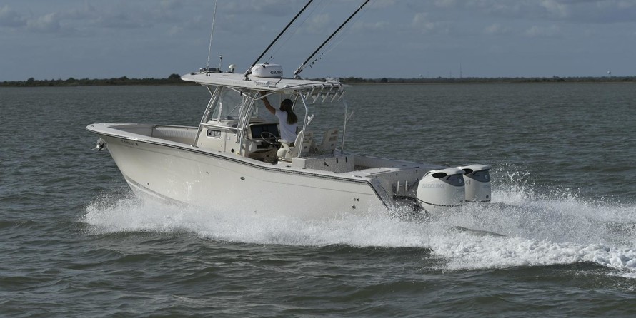 Grady white 306 bimini cc