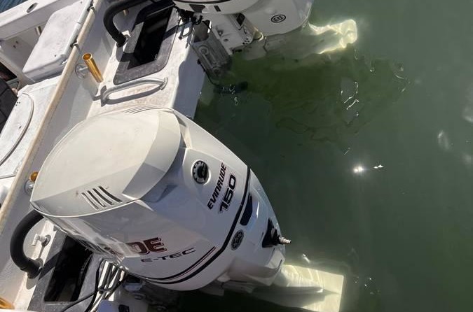 Twin vee 26 family fisherman