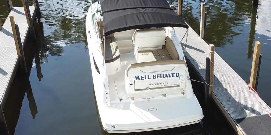 Sea Ray 260 Sundancer