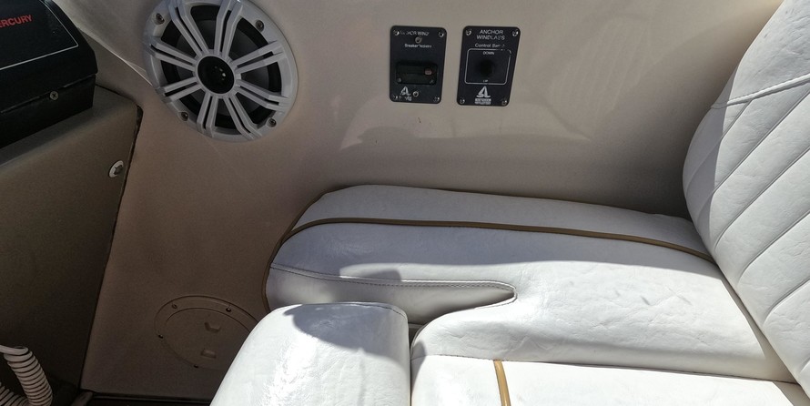 Rinker Fiesta Vee 310