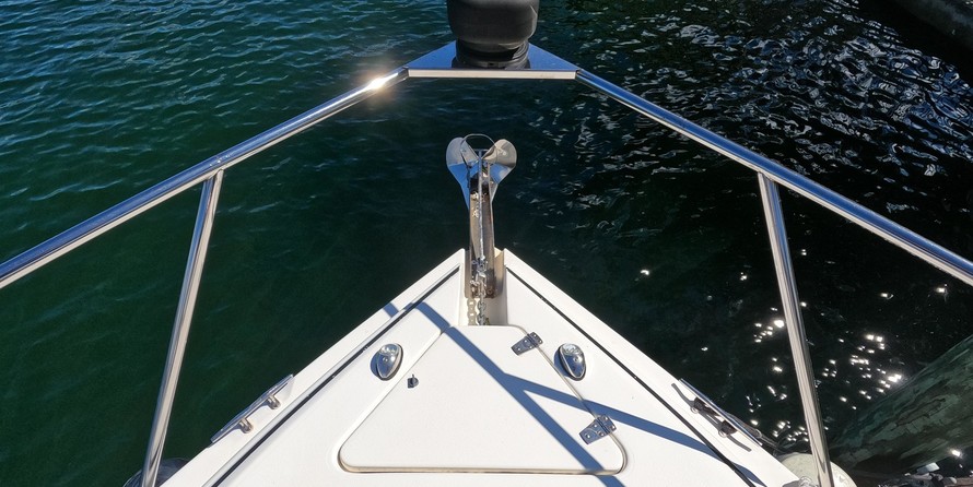 Rinker Fiesta Vee 310