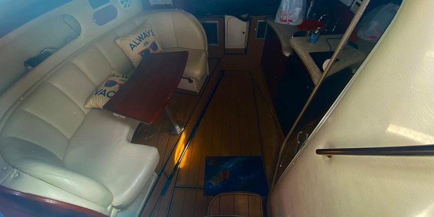 Rinker Fiesta Vee 310