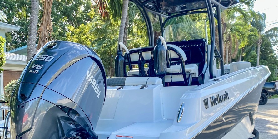 Wellcraft 222 Fisherman