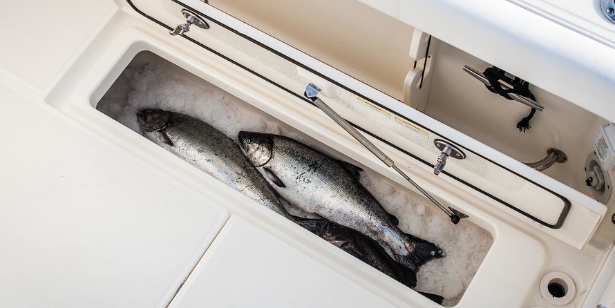 Boston Whaler 285 Conquest Pilothouse