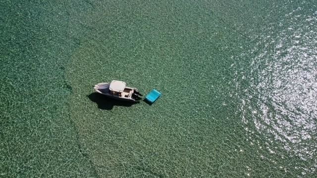 Grady-White Freedom 255