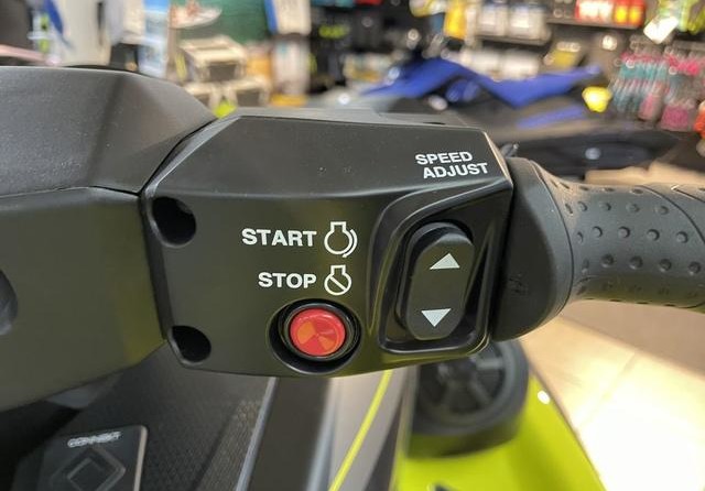 Yamaha FX Cruiser HO