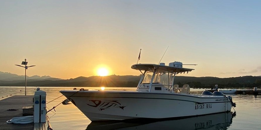 Grady-White Canyon 306