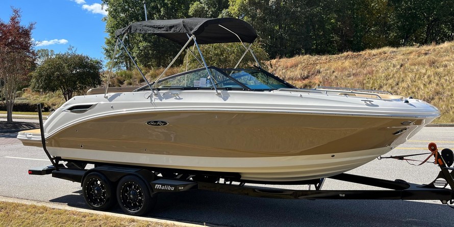Sea Ray SDX 250