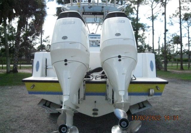 Contender 31 tournament