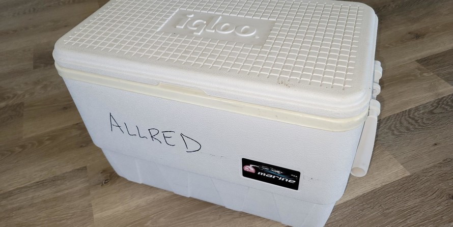 Sea Ray 280 Sundancer