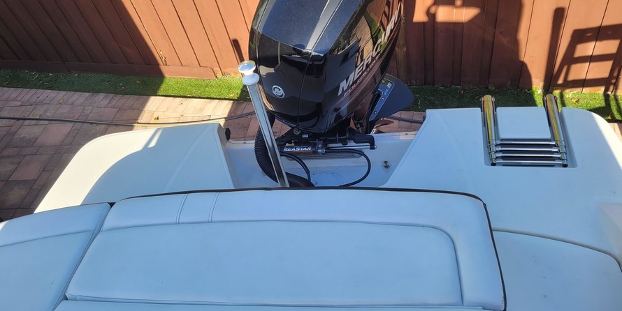 Sea Ray SPX 210 OB