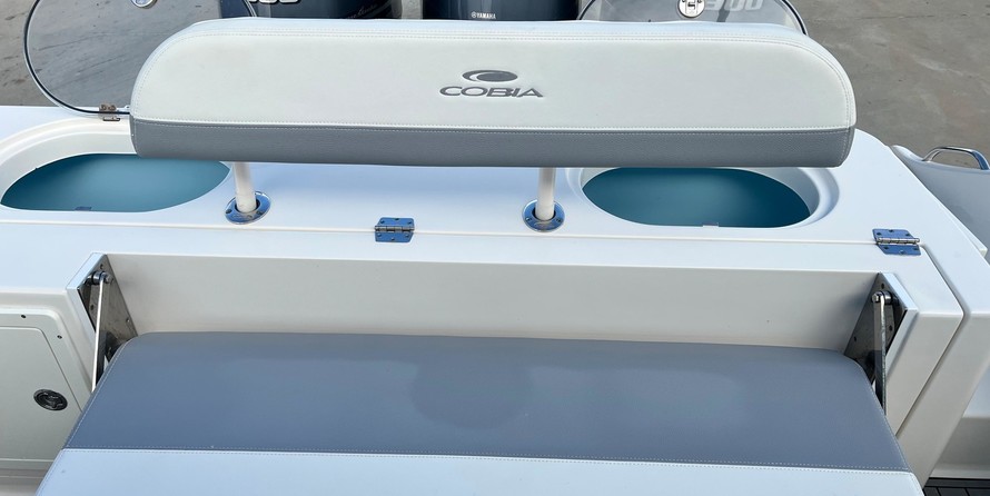 Cobia 217 center console
