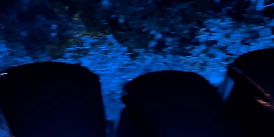 Cobia 217 center console